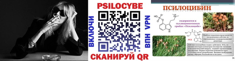 Псилоцибиновые грибы Psilocybine cubensis  Калининск 